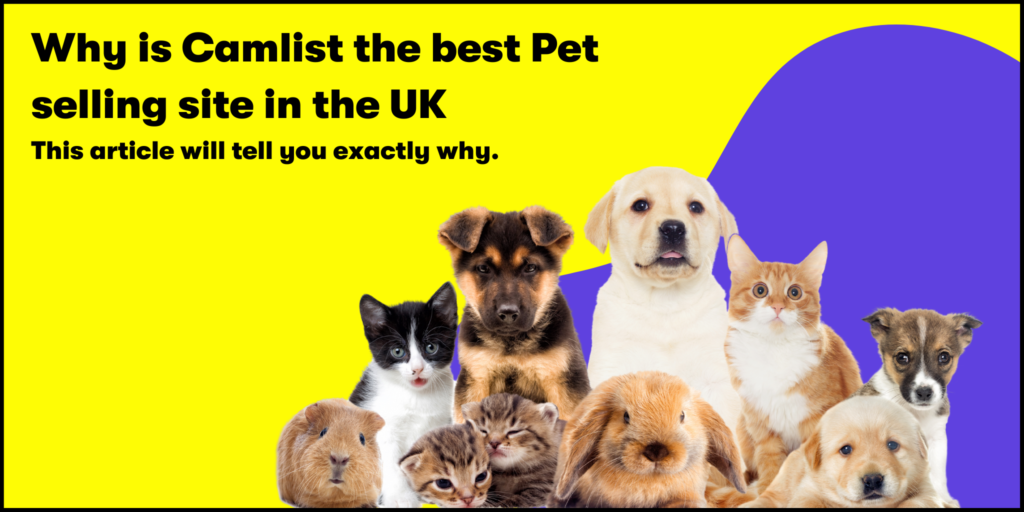 Why is Camlist the best Pet selling site in the UK
