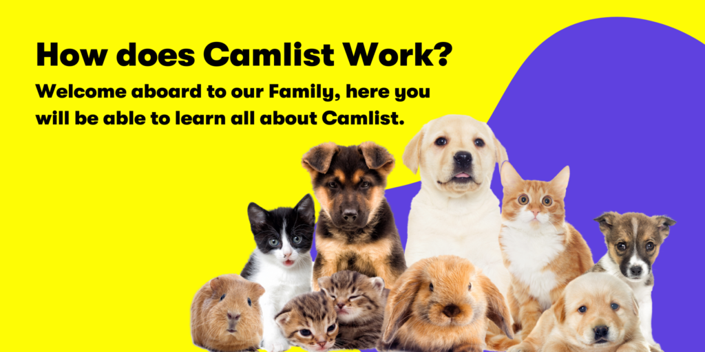How does Camlist Work?
Welcome aboard to our Family, here you will be able to learn all about Camlist